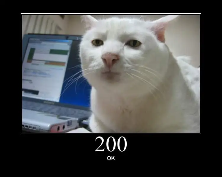 Image of a cat with '200 OK' below